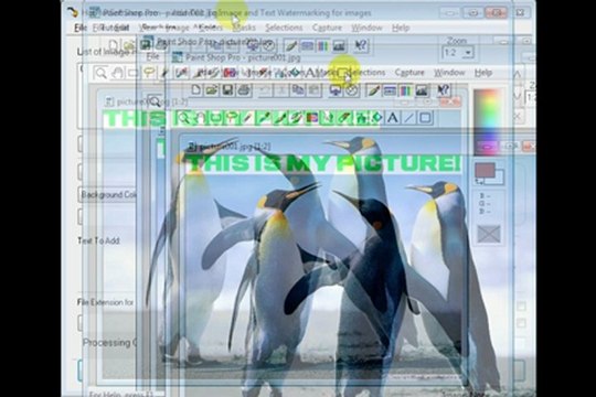 Thumbnail