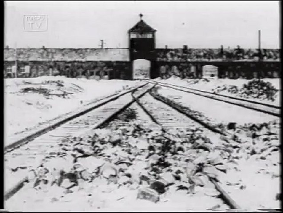 Holocaust - Eine Dokumentation von Torgau-TV