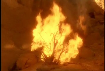 Moisés Los Años del Exilio, vol 1 - Parte 1 Español Latino