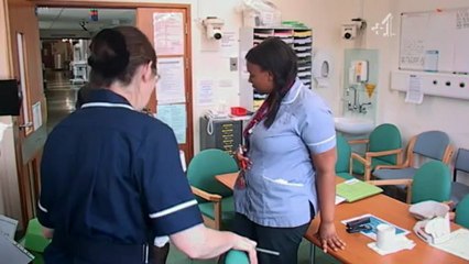 Dos Loo Every Minuté