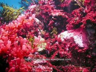 FLORIN PIERSIC (n 27 01 1936) -- LA MULTI ANI !