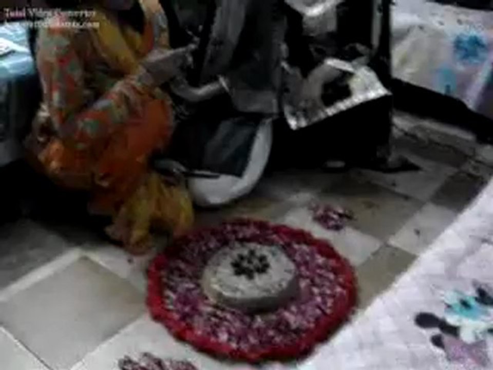 MOV03663