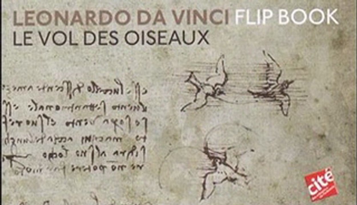 Flipbook : LEONARDO DA VINCI FLIP BOOK