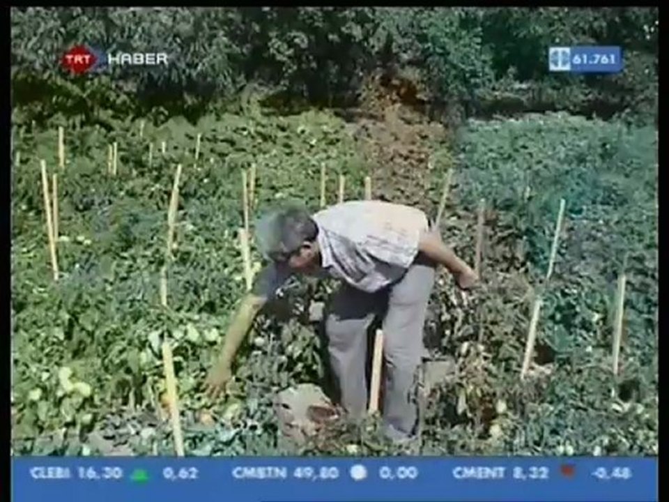 Canlı Organik Gübre Uygulaması