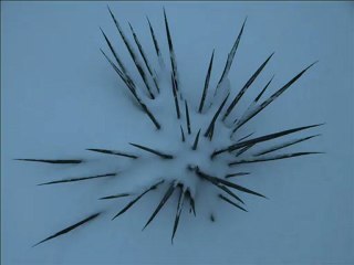 Moderní zima 4: Václav Kovalčík, leden 2013