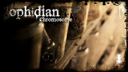 Ophidian - Chromosome