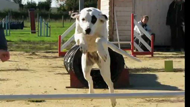 assemble generale 2601