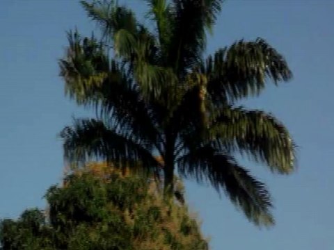 Mc Pretinho (Mc Vuk Vuk)