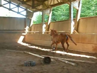 Venise de Ponts à 3 ans (février 2012)