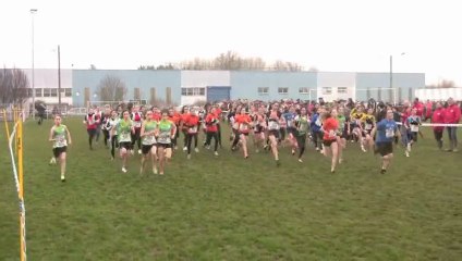 Cross Départemental Meslay