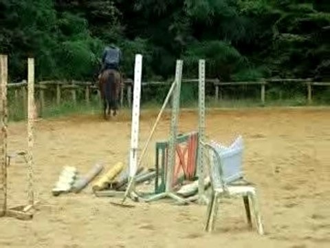 Alex et Majyc galop-trot-galop