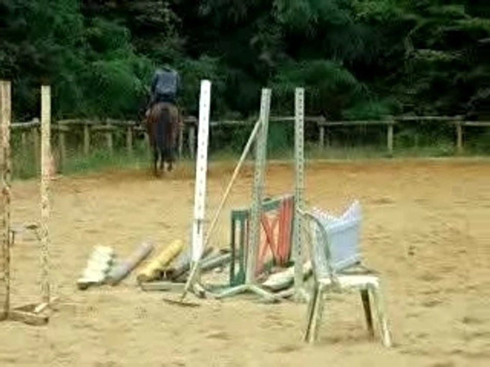 Alex et Majyc galop-trot-galop