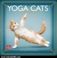 Calendar Review: Yoga Cats 2013 Square 12X12 Wall Calendar (Multilingual Edition) by BrownTrout Publishers