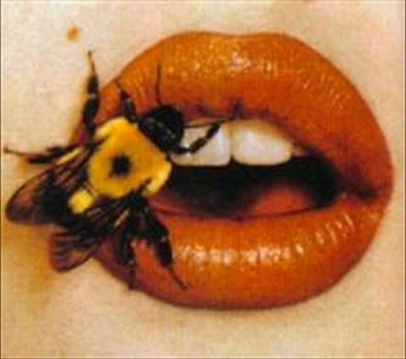 Louise (Thomas Fersen Cover)