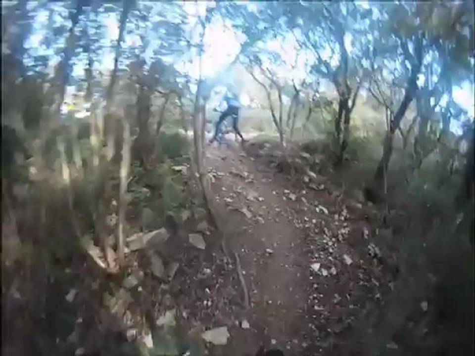 Sanglier vs VTT