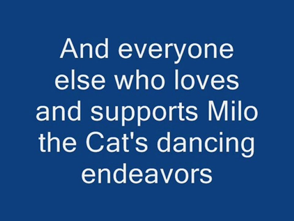 milo the cat dances