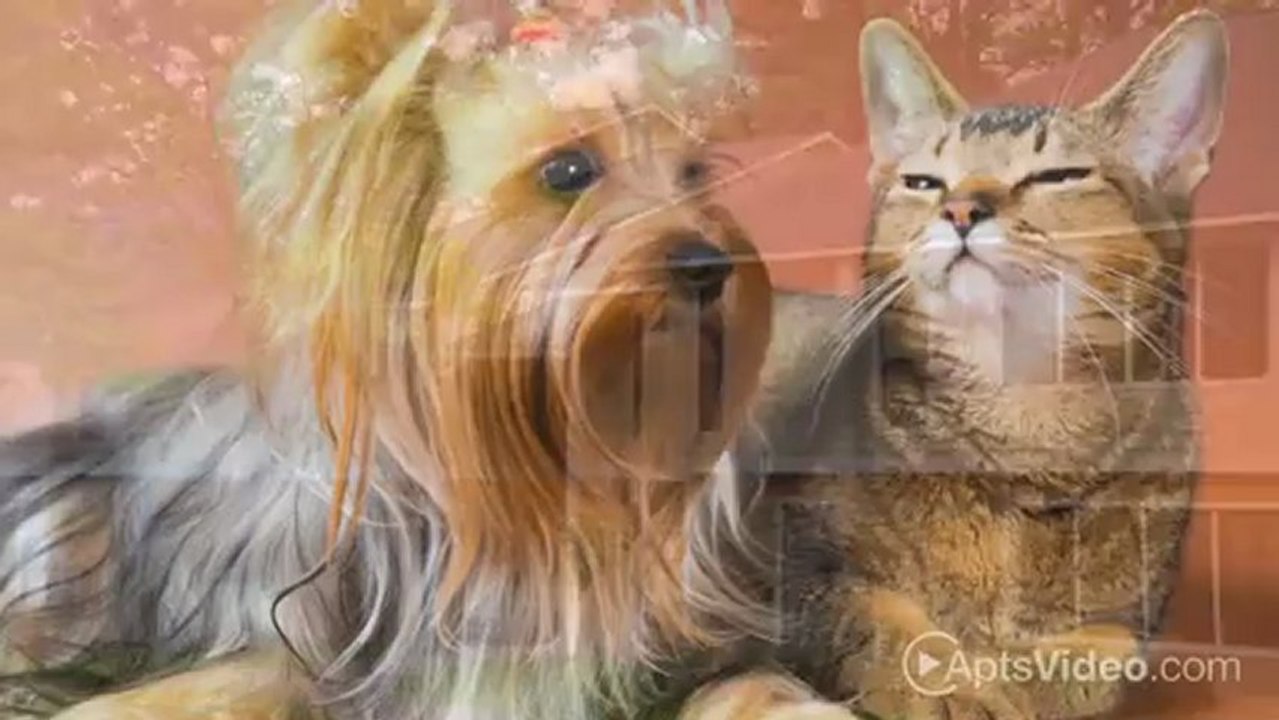 Marquis Estates Apartments in Norcross, GA - ForRent.com