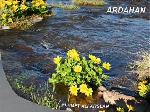 Ardahan Kars ığdır Resimleri @ MEHMET ALİ ARSLAN Tv