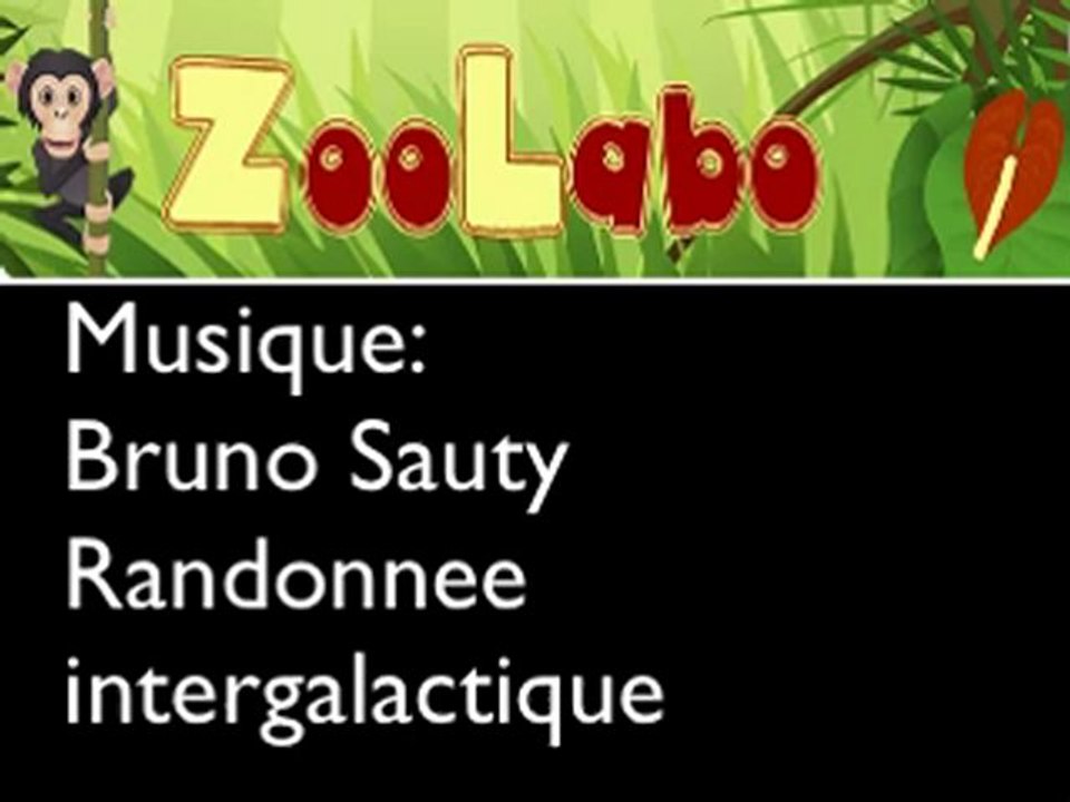 Jeux de taz