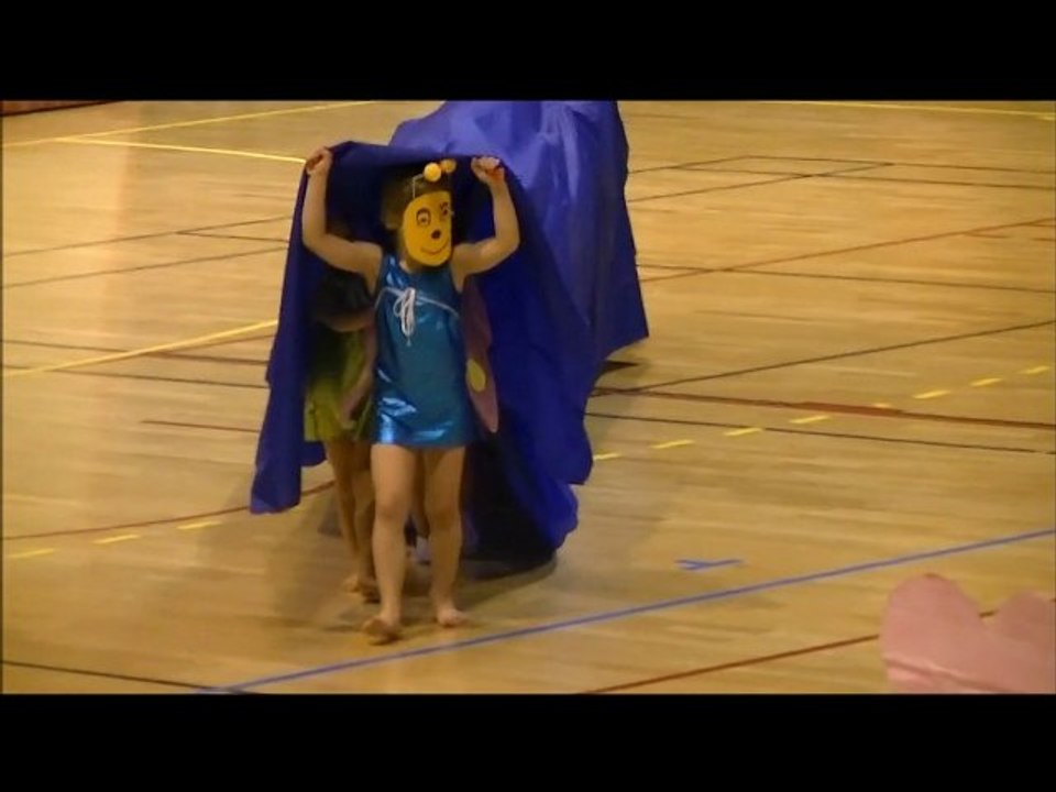 Retour sur le GALA 2013 - HIRONDELLES de VILLEFRANCHE - Gymnastique Artistique Féminine FSCF