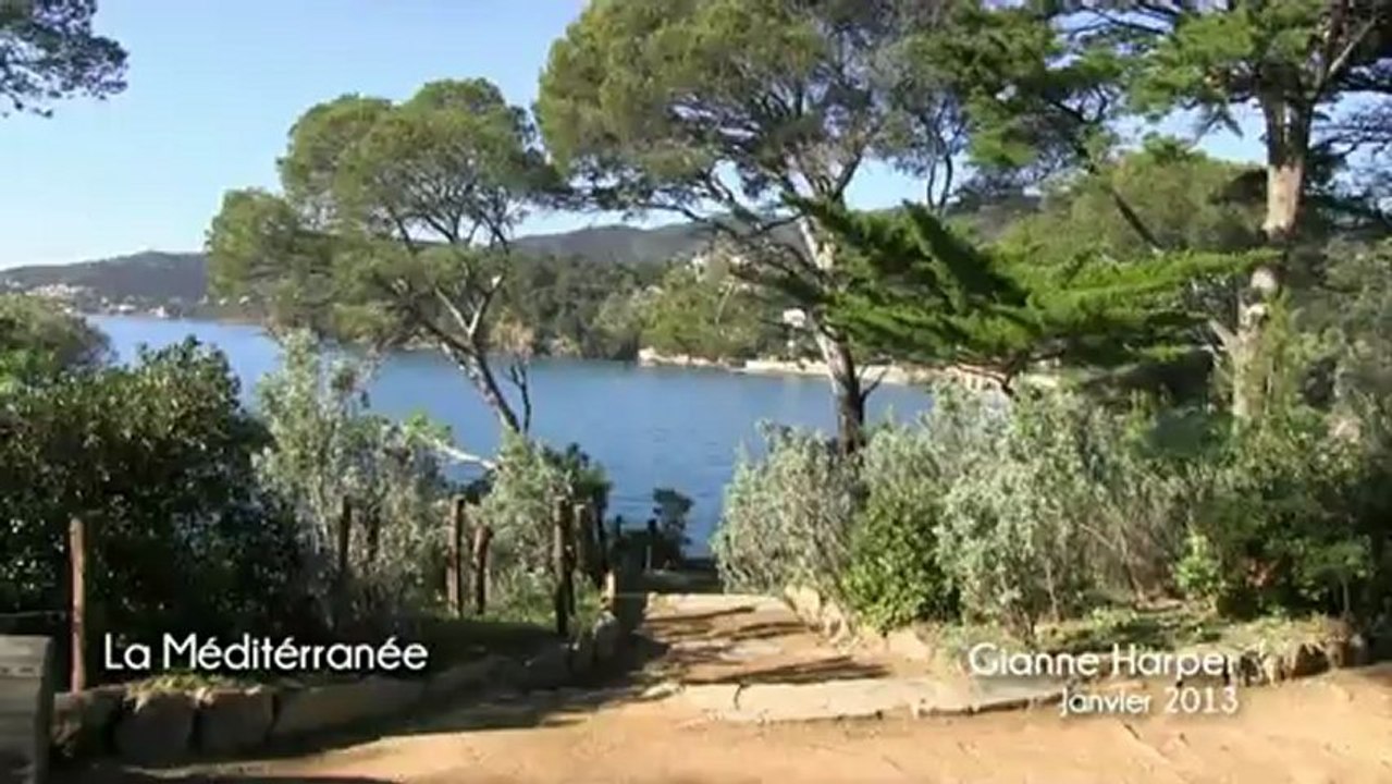 Gianne HARPER - artiste peintre - paysage réaliste - Méditérranée