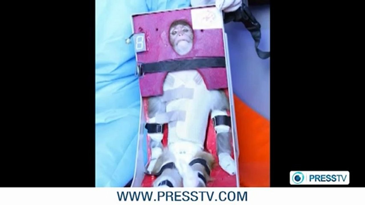 Iran successfully sends a monkey into space