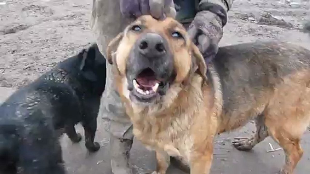 Sara