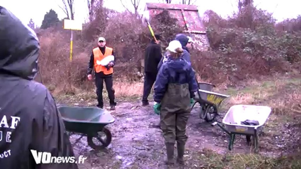 Nettoyage berges de Seine Bezons