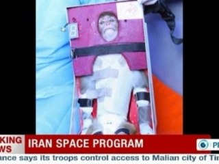 Iran launches monkey into space, says state news agency