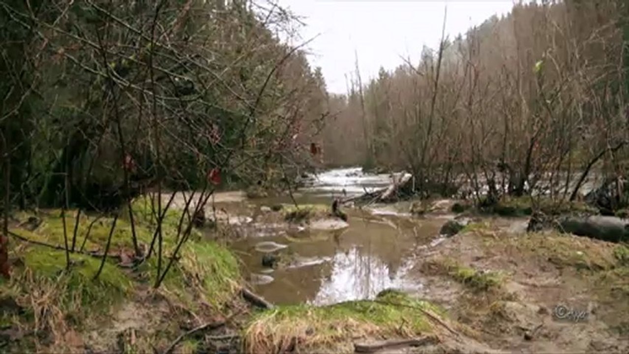 Coquitlam River, British Columbia