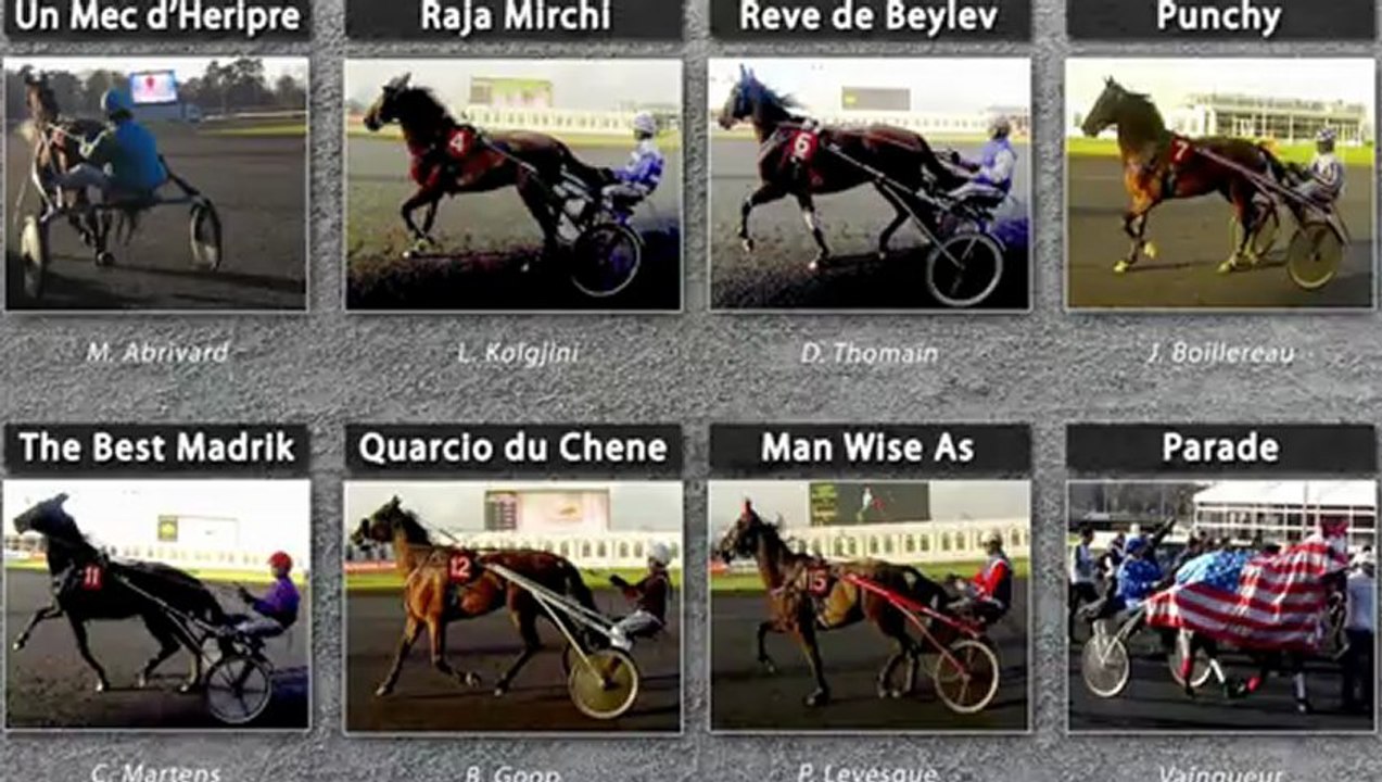 N°4- Raja Mirchi - 92eme Grand Prix d'Amerique 2013 - Hippodrome Paris-Vincennes - Be Leader - New3S
