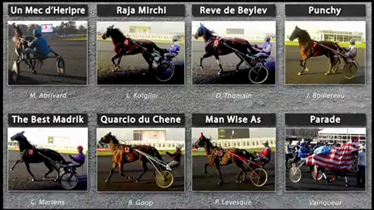 N°7- Punchy - 92eme Grand Prix d'Amerique 2013 - Hippodrome Paris-Vincennes - Be Leader - New3S