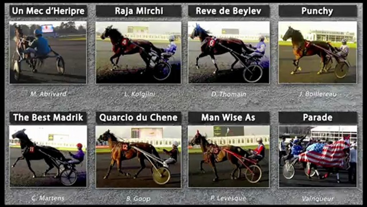 N°11- The Best Madrik - 92eme Grand Prix d'Amerique 2013 - Hippodrome Paris-Vincennes - Be Leader - New3S