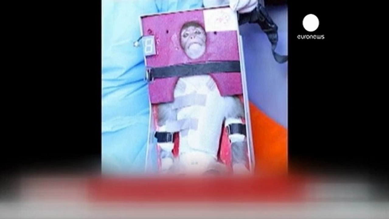 Iran's space monkey claim