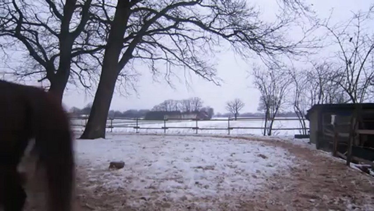 Daisy macht fortschritte