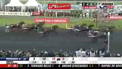 Prix d'Amerique 2013 - Royal Dream - Equidia