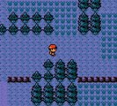 Walkthrough Pokemon version Or (1): Les débuts de la grande aventure !