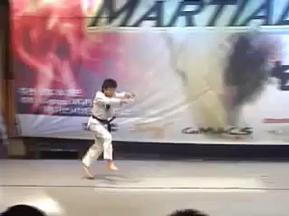 Korean Tigers Team Taekwondo