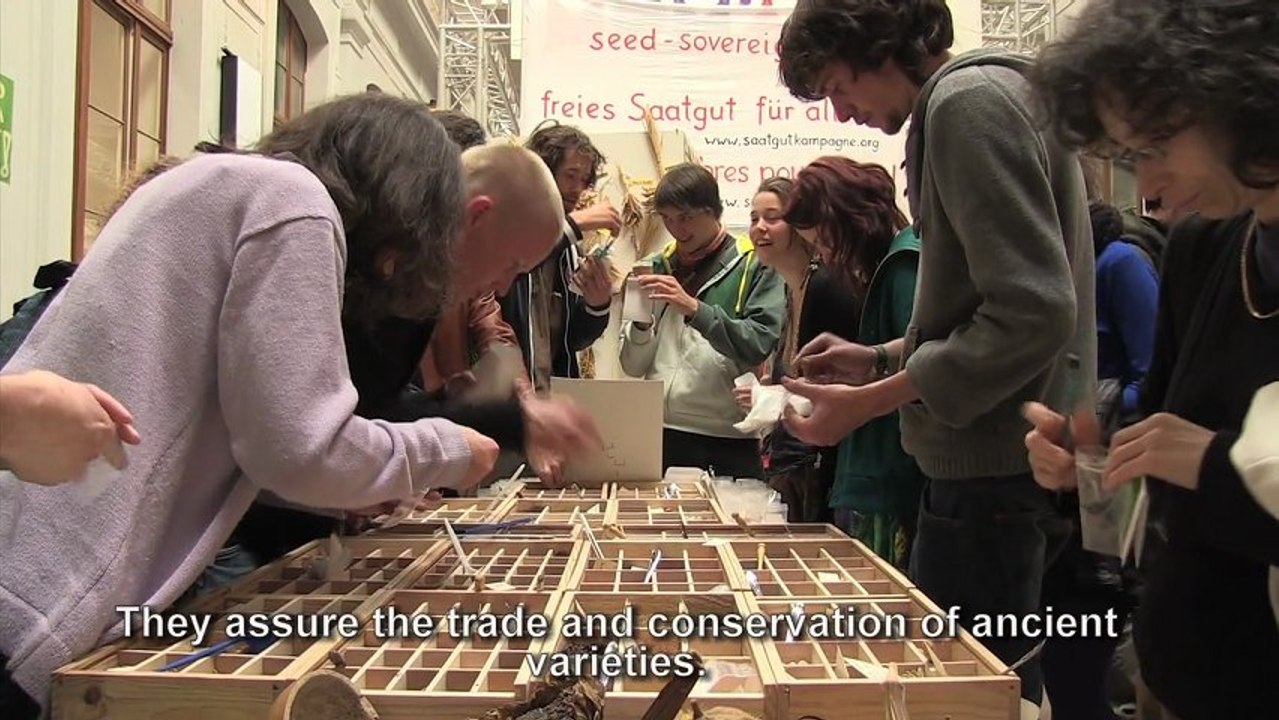 Mad Seed