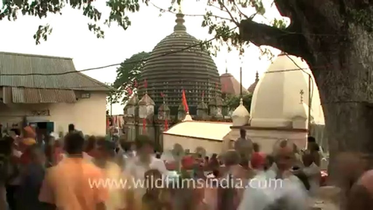 Black magic vashikaran specialist astrologer +91 9592358265