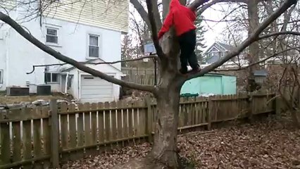 9 Year Old Kid Does a 5 Foot Vertical Jump