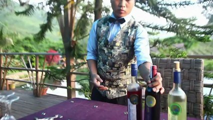 Les vignobles tentent de prendre racine en Birmanie