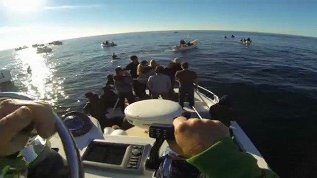 GoPro: Peter Mel Wins Mavericks Invitational 2013!