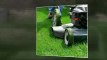 lawn mowing maintenance