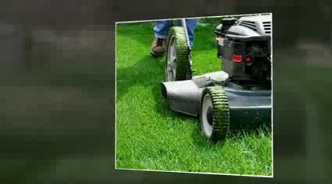 lawn mowing maintenance