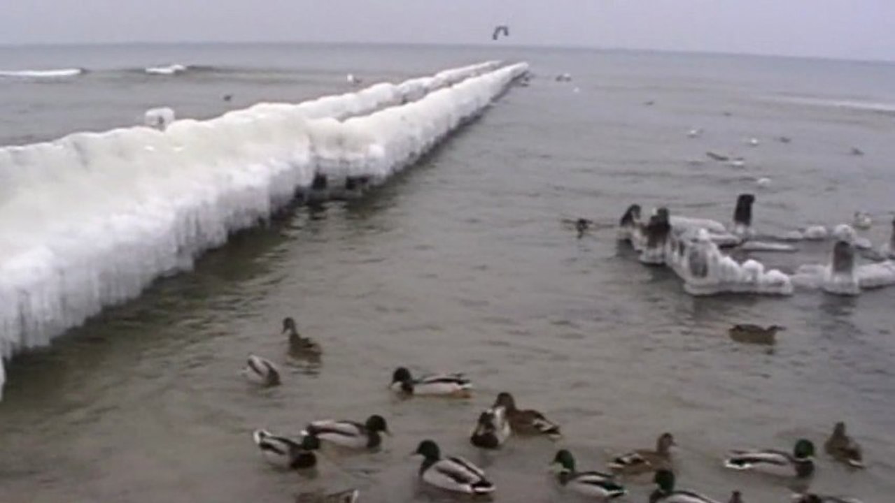 Mielno-relaks nad morzem