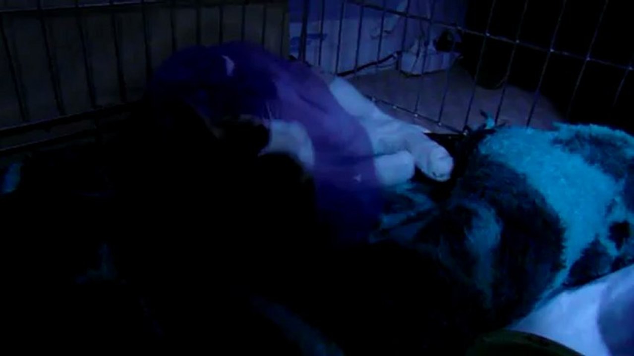 SAM_0384