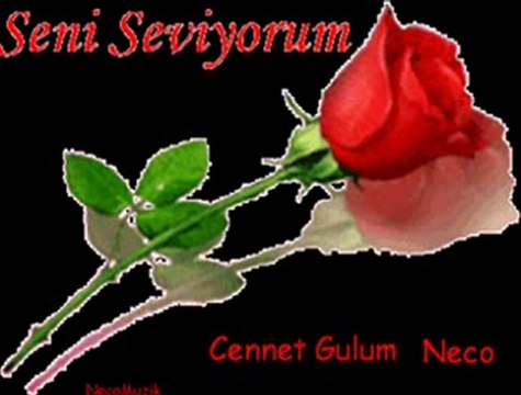 Zeki Erdem Ağlamadan Git