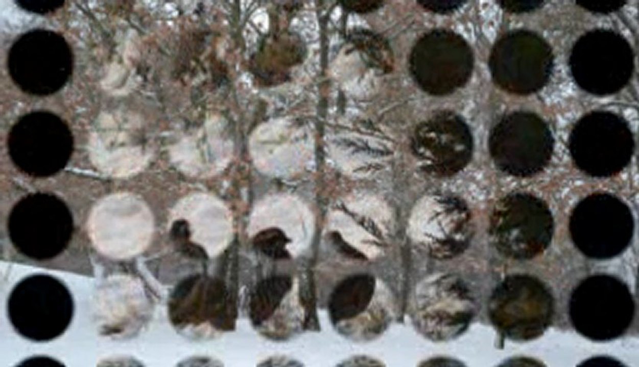 NEIGE film de Dina wmv