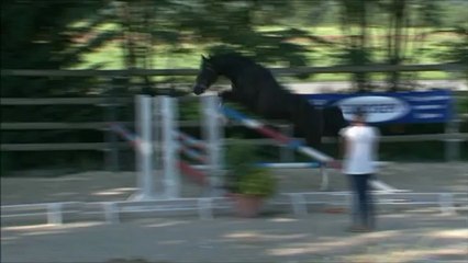 ustinov landai presentation etalon